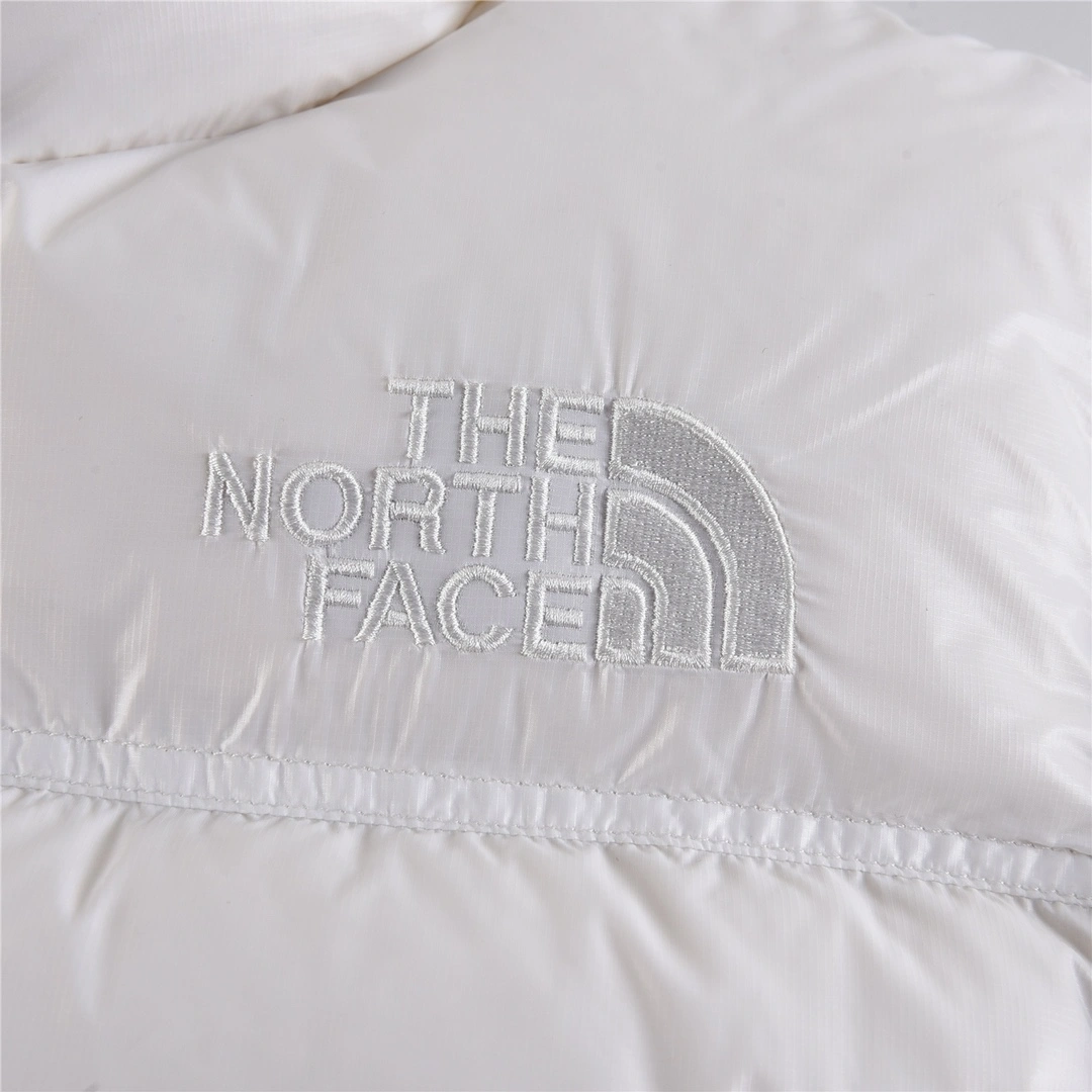 ModernLook The North Face Down Jackets 173204