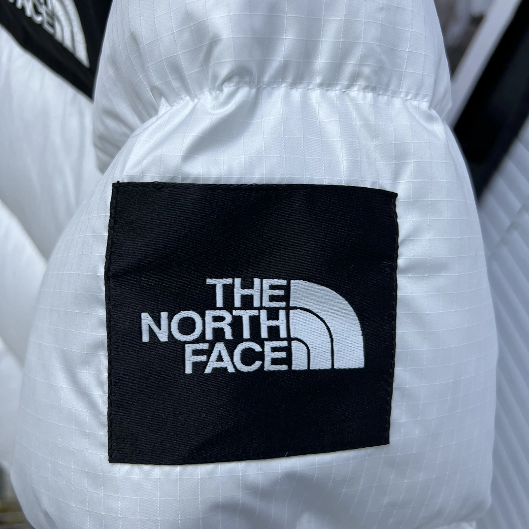The North Face Down Jackets Resilient 173203