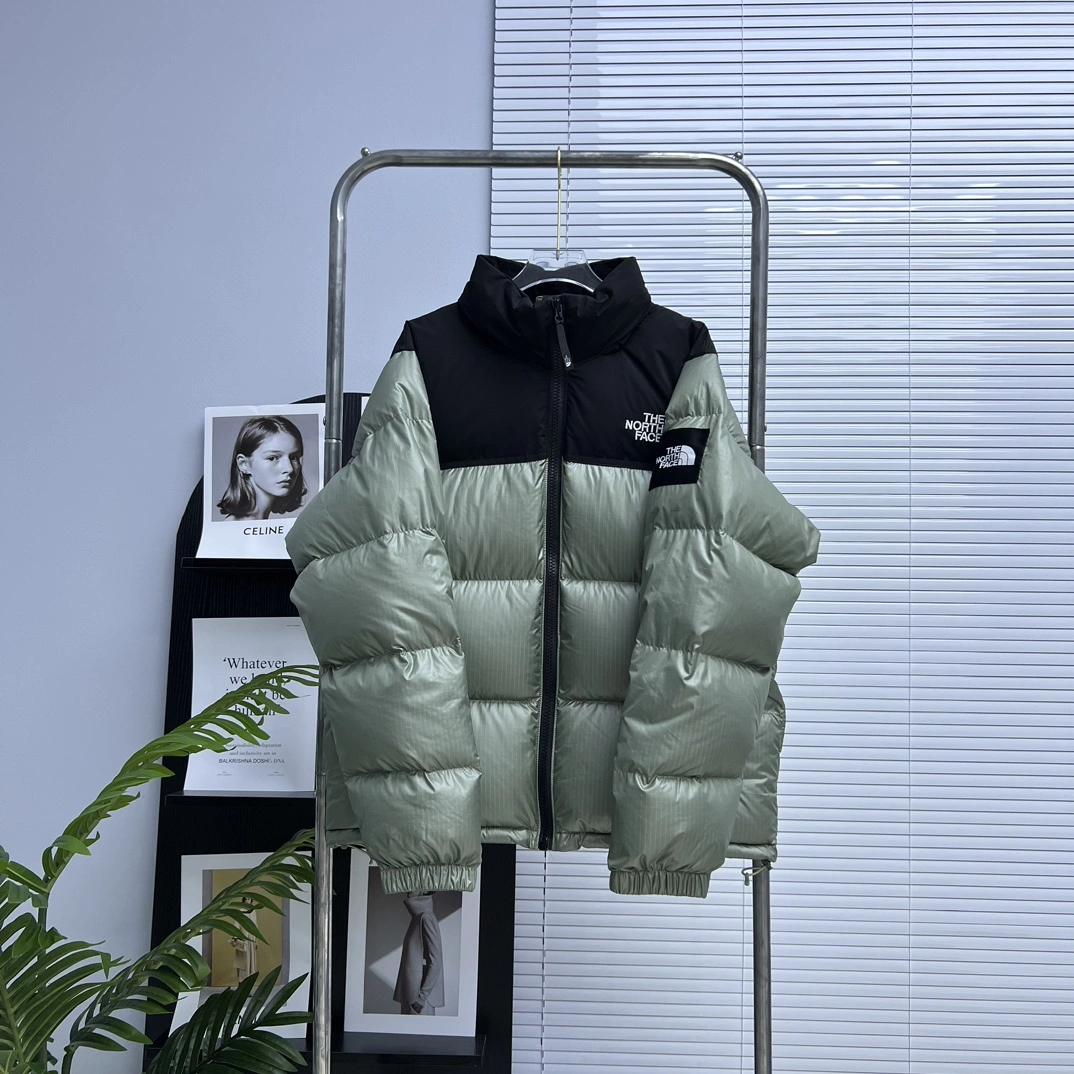 The North Face Down Jackets Vibrant 173193