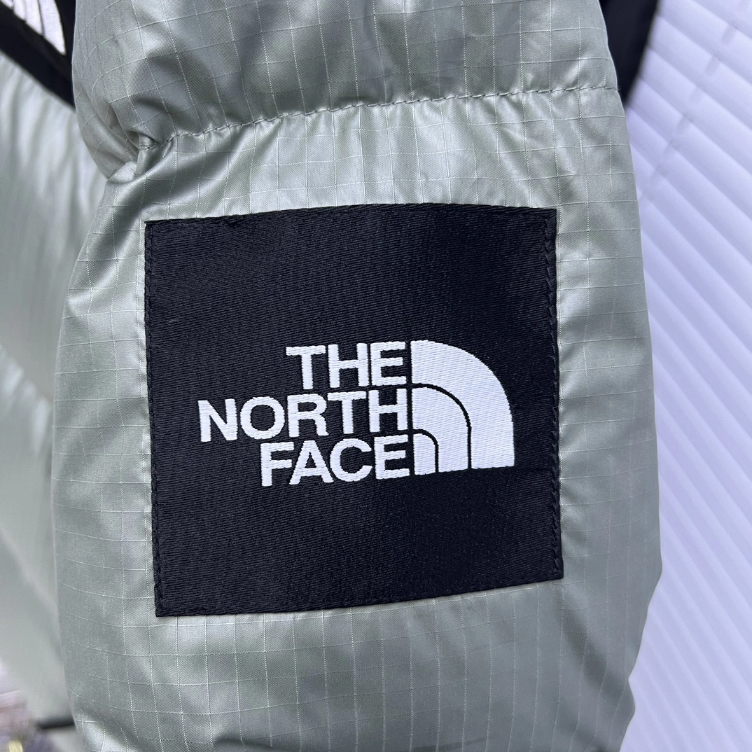 The North Face Down Jackets Vibrant 173193