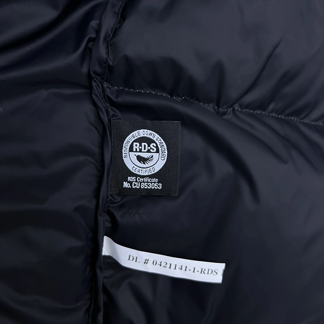The North Face Down Jackets Vibrant 173193