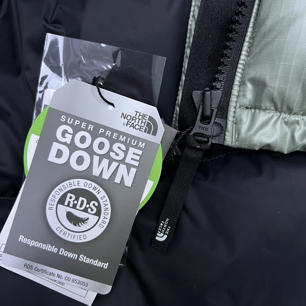 The North Face Down Jackets Vibrant 173193