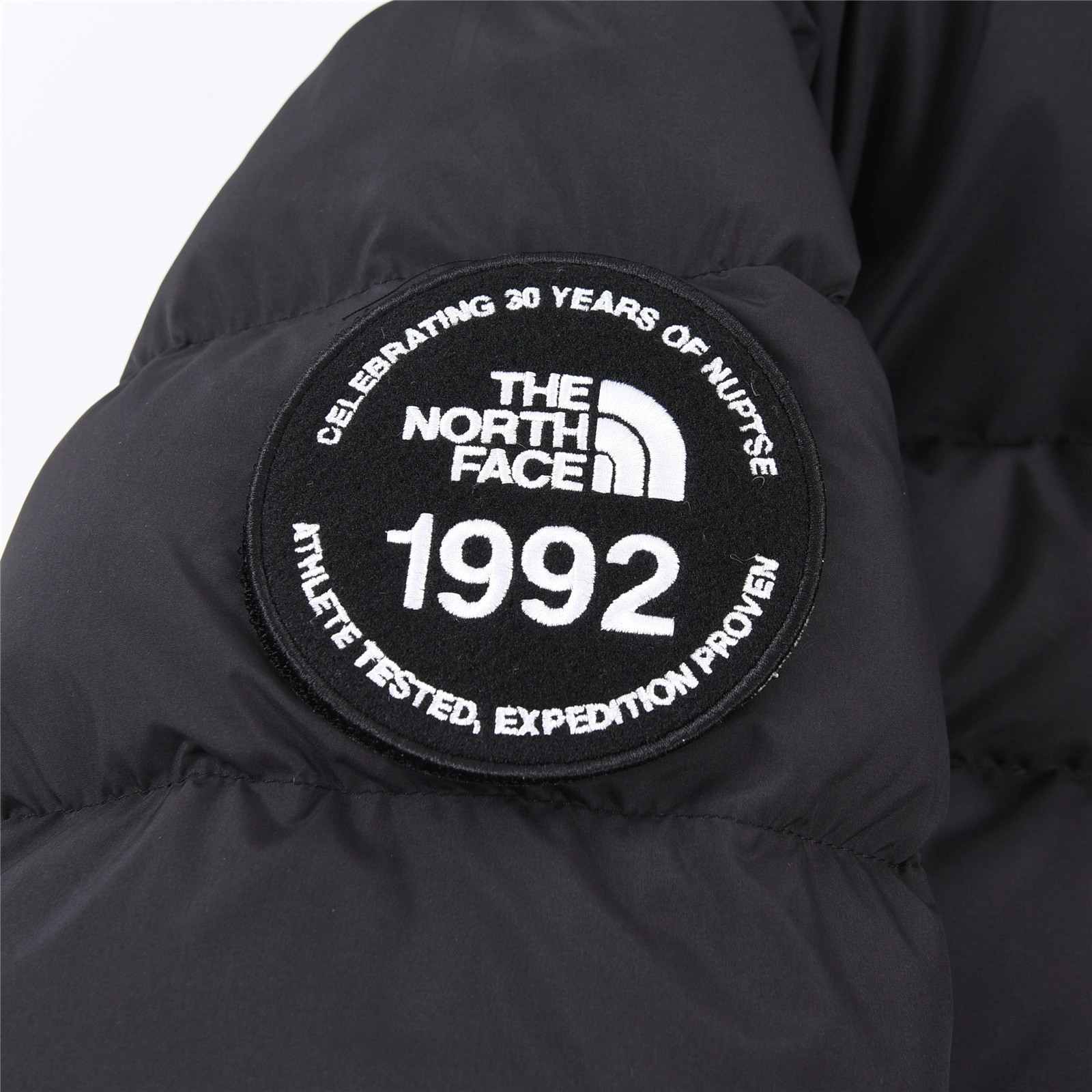 The North Face Down Jackets ZipUp 173216