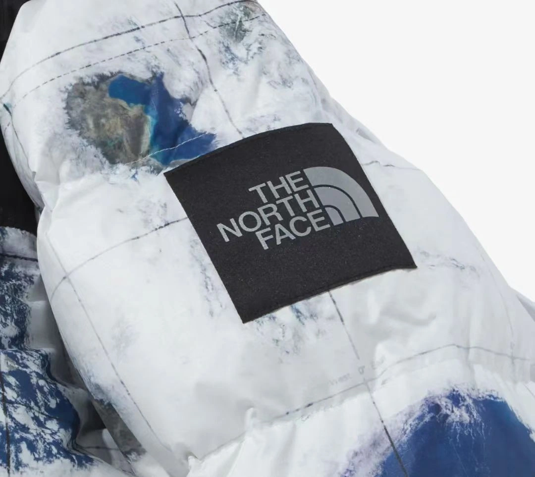 ZipUp The North Face Down Jackets 173177