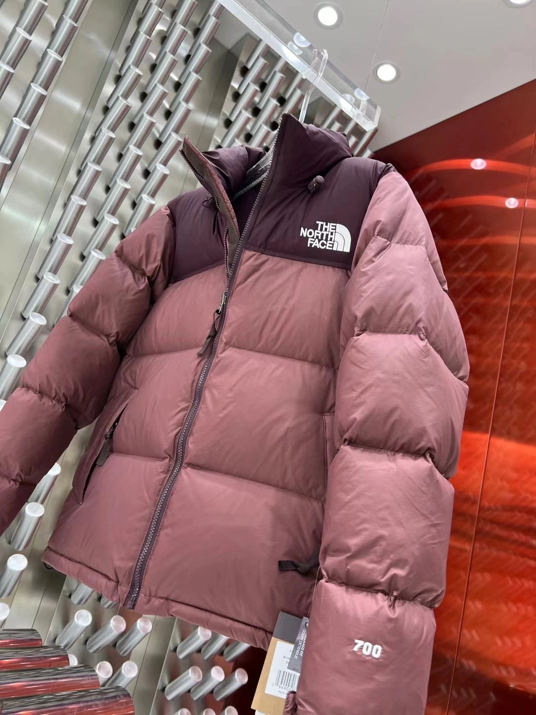 The North Face Down Jackets Bright 173214