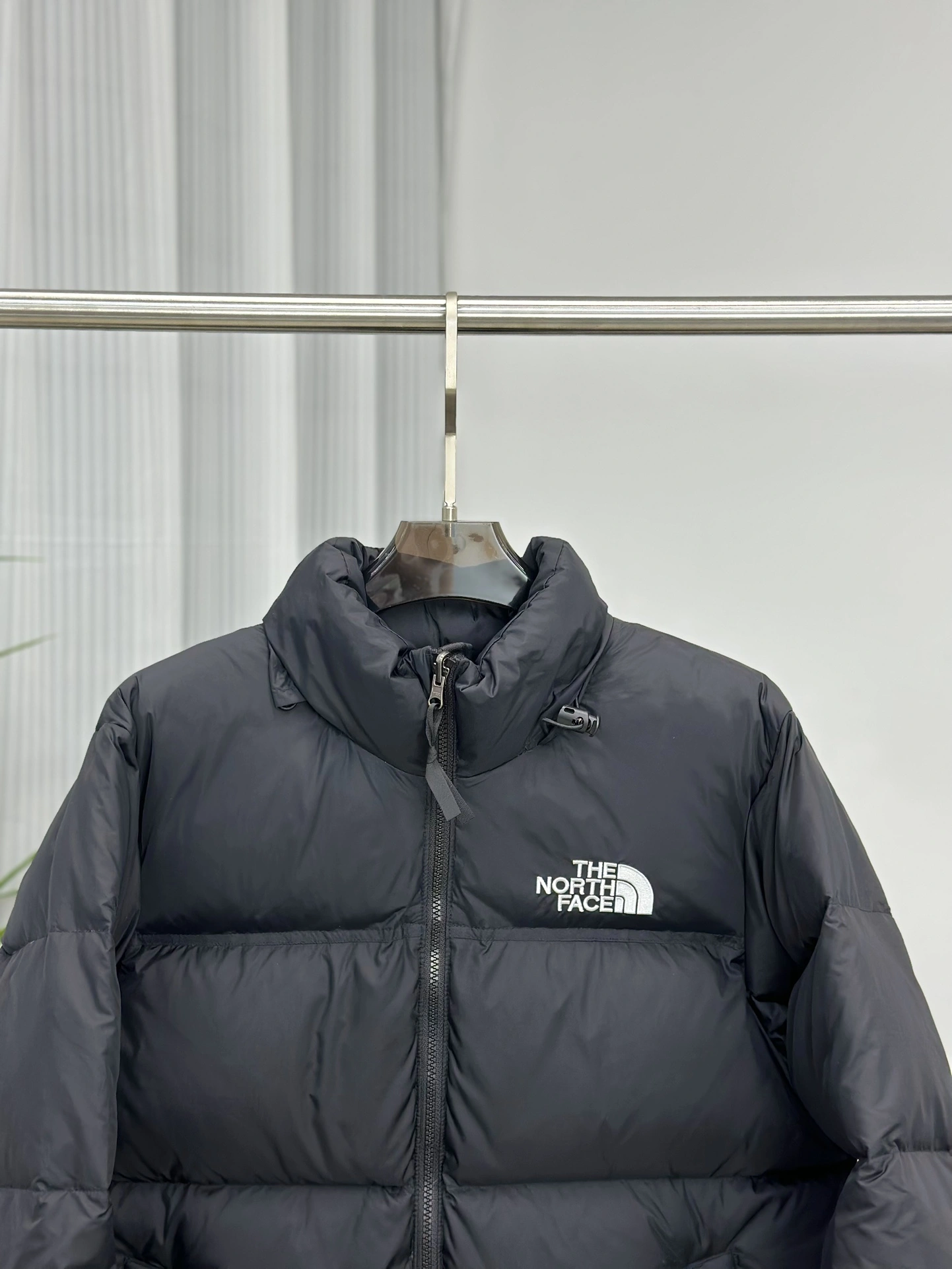 The North Face Down Jackets Premium 173190