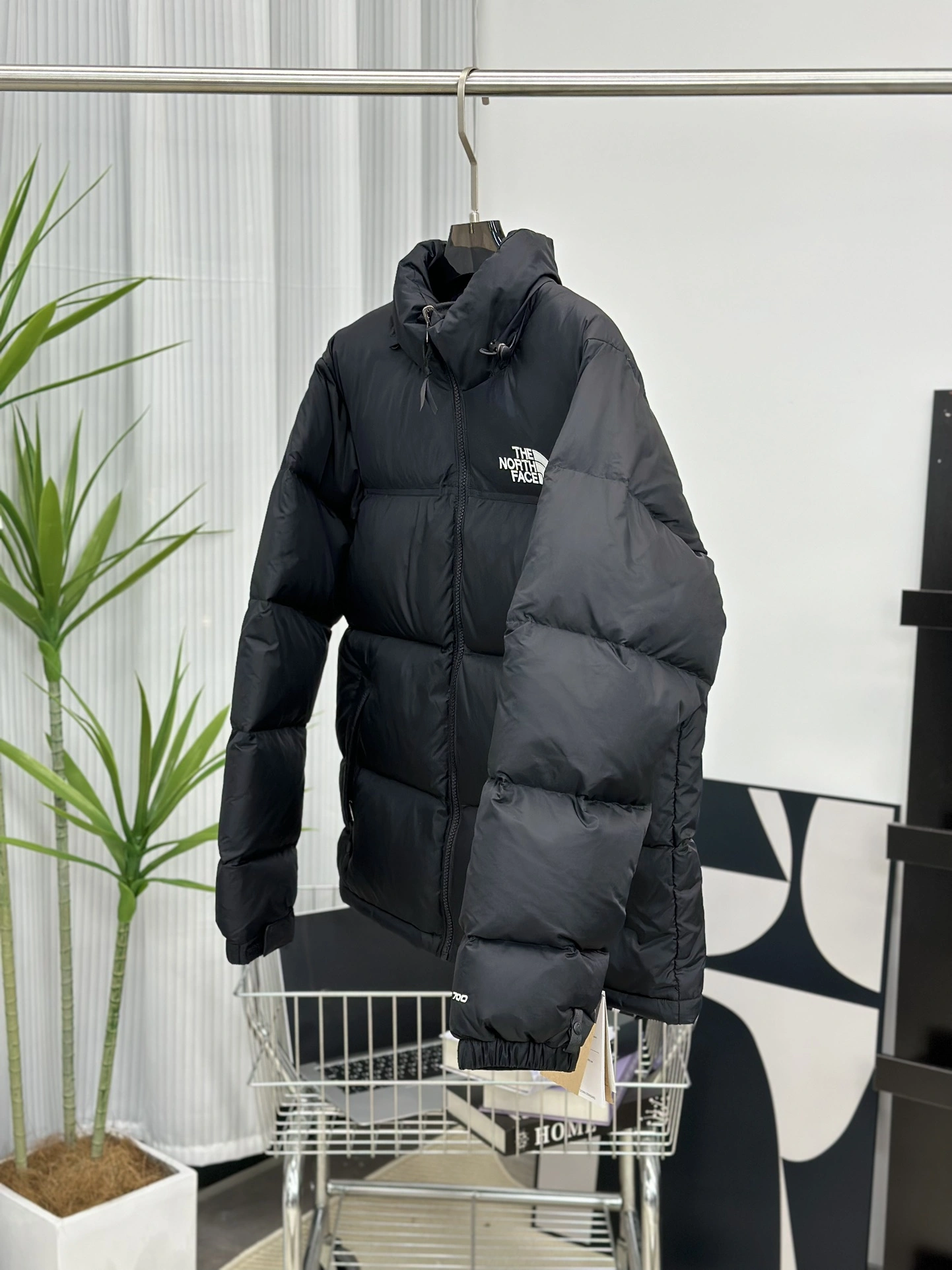 The North Face Down Jackets Premium 173190