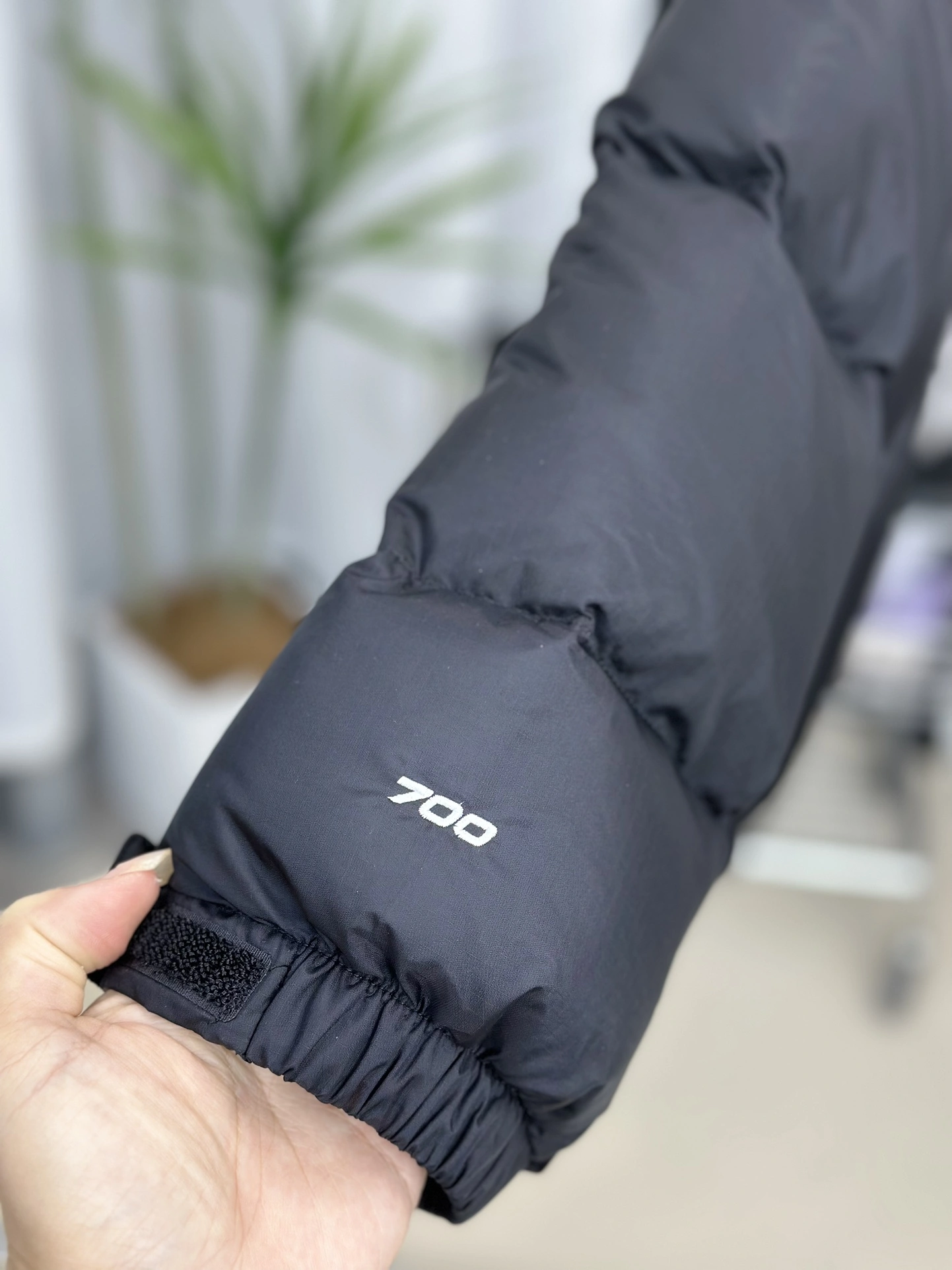 The North Face Down Jackets Premium 173190