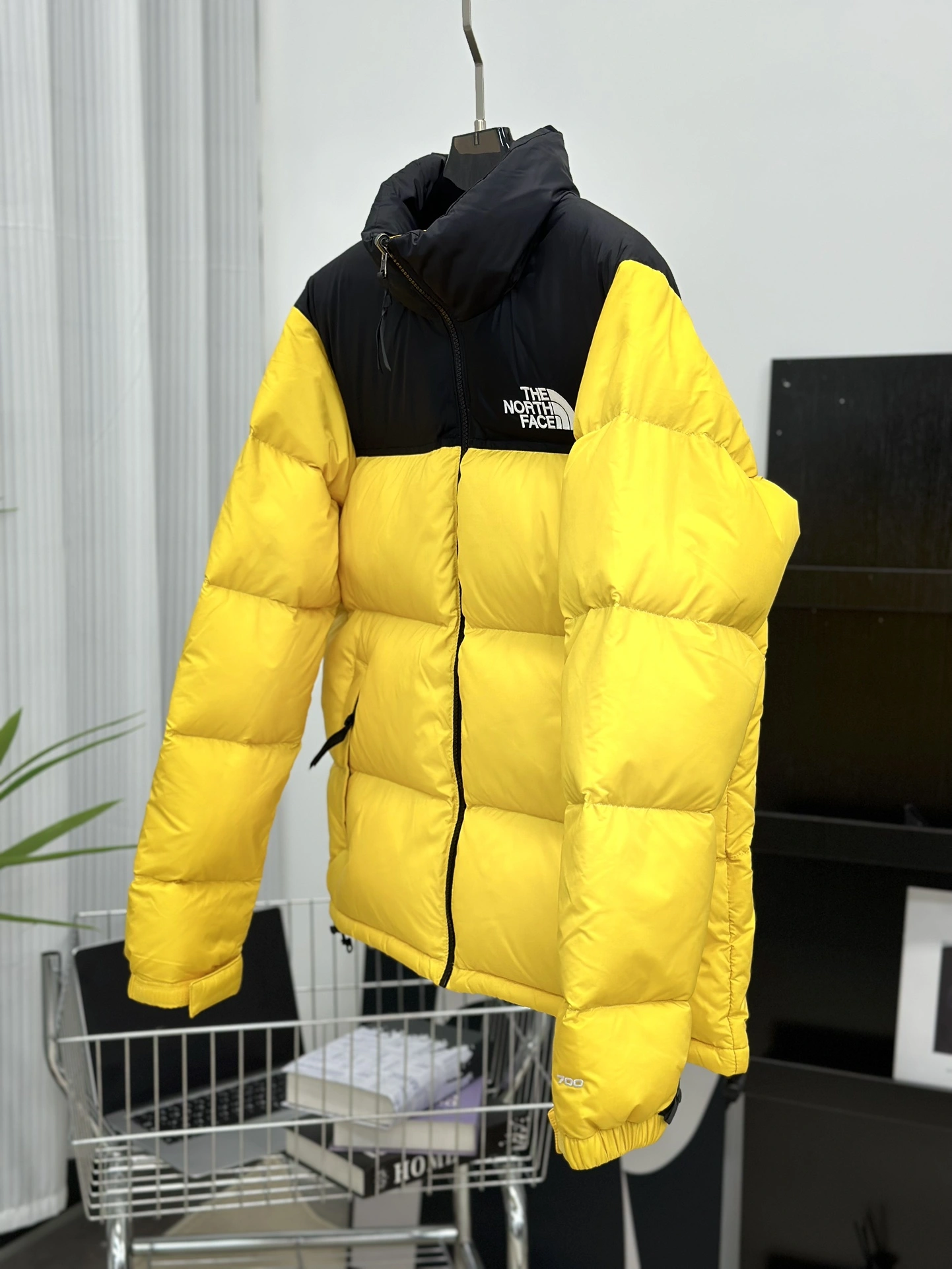 The North Face Down Jackets Sleek 173163