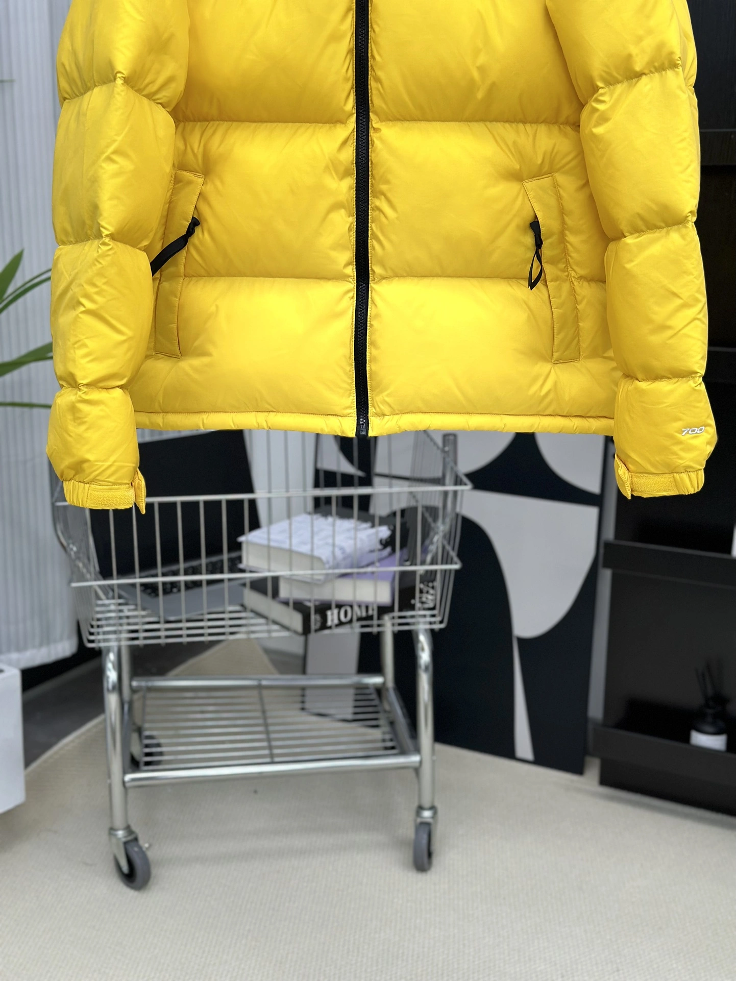 The North Face Down Jackets Sleek 173163