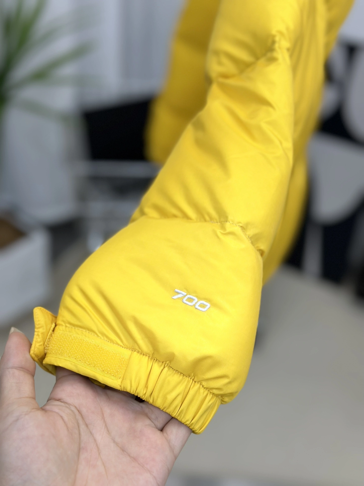 The North Face Down Jackets Sleek 173163