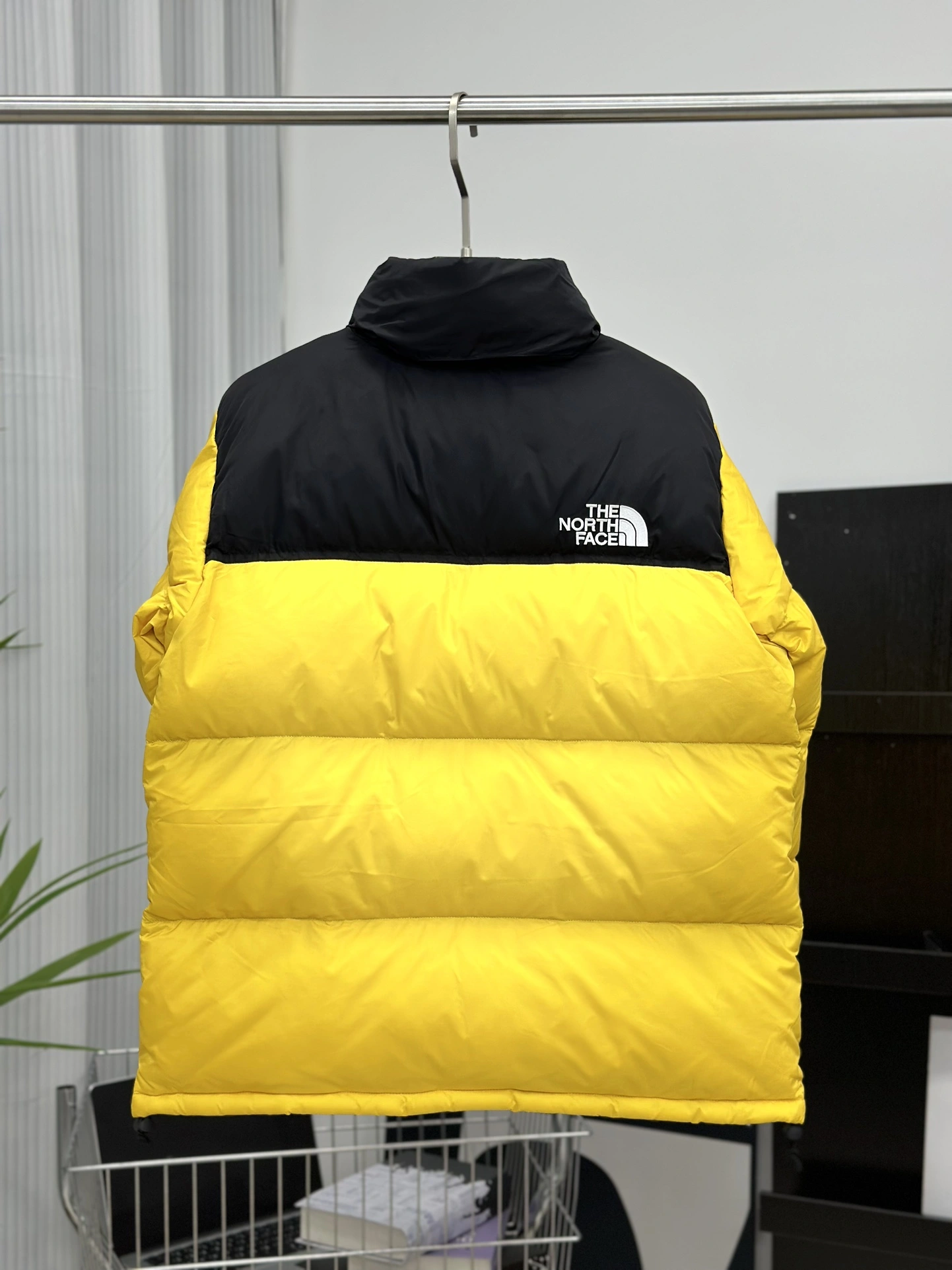 The North Face Down Jackets Sleek 173163
