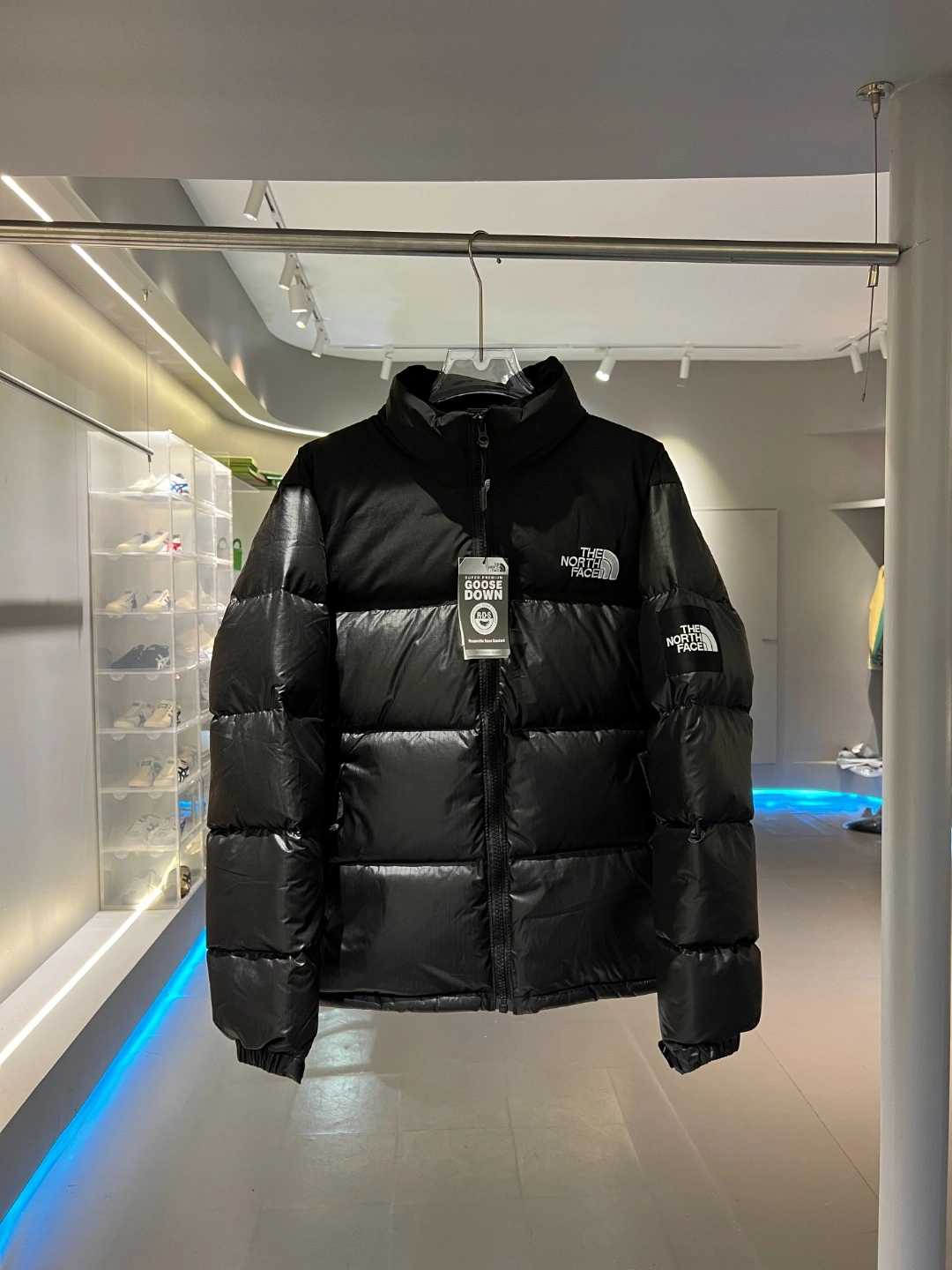 EyeCatching The North Face Down Jackets 173164