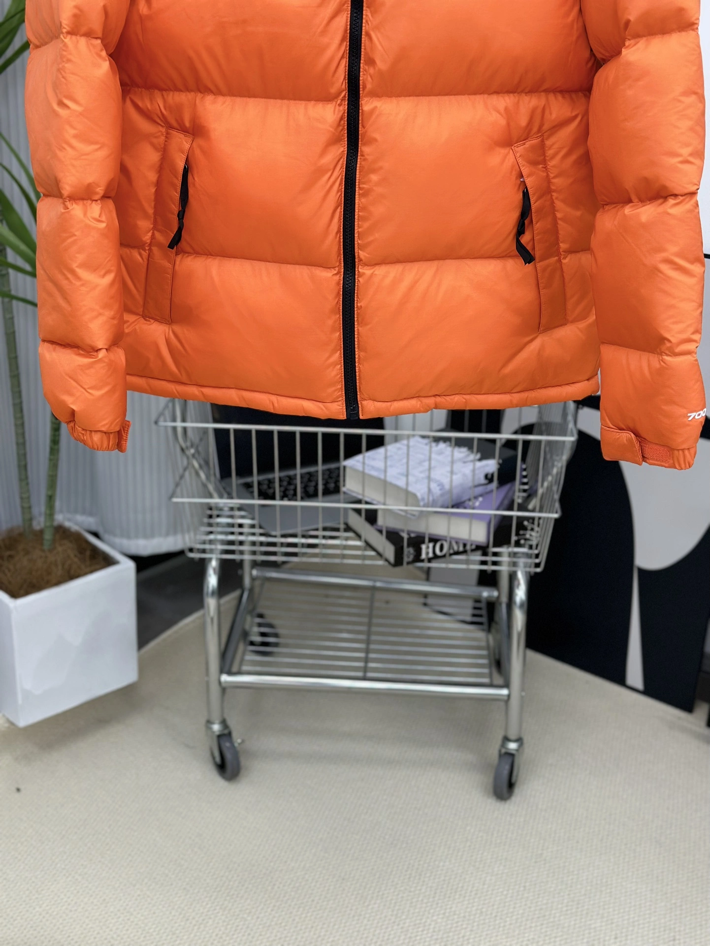 The North Face Down Jackets FreshLook 173144