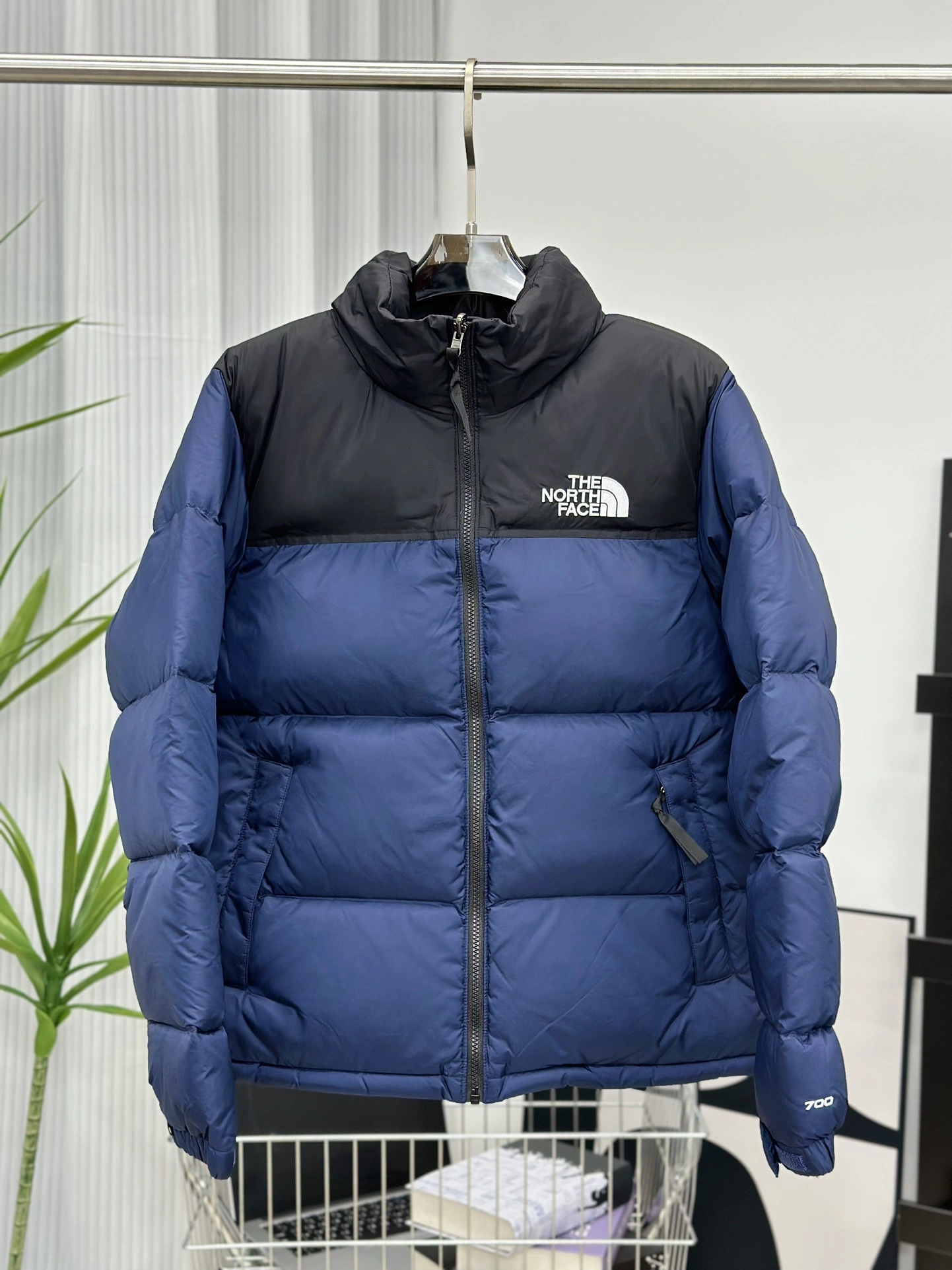 Bright The North Face Down Jackets 173139