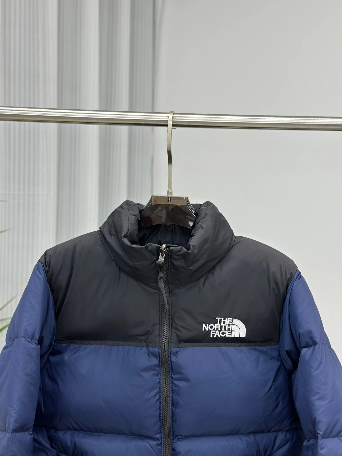 Bright The North Face Down Jackets 173139