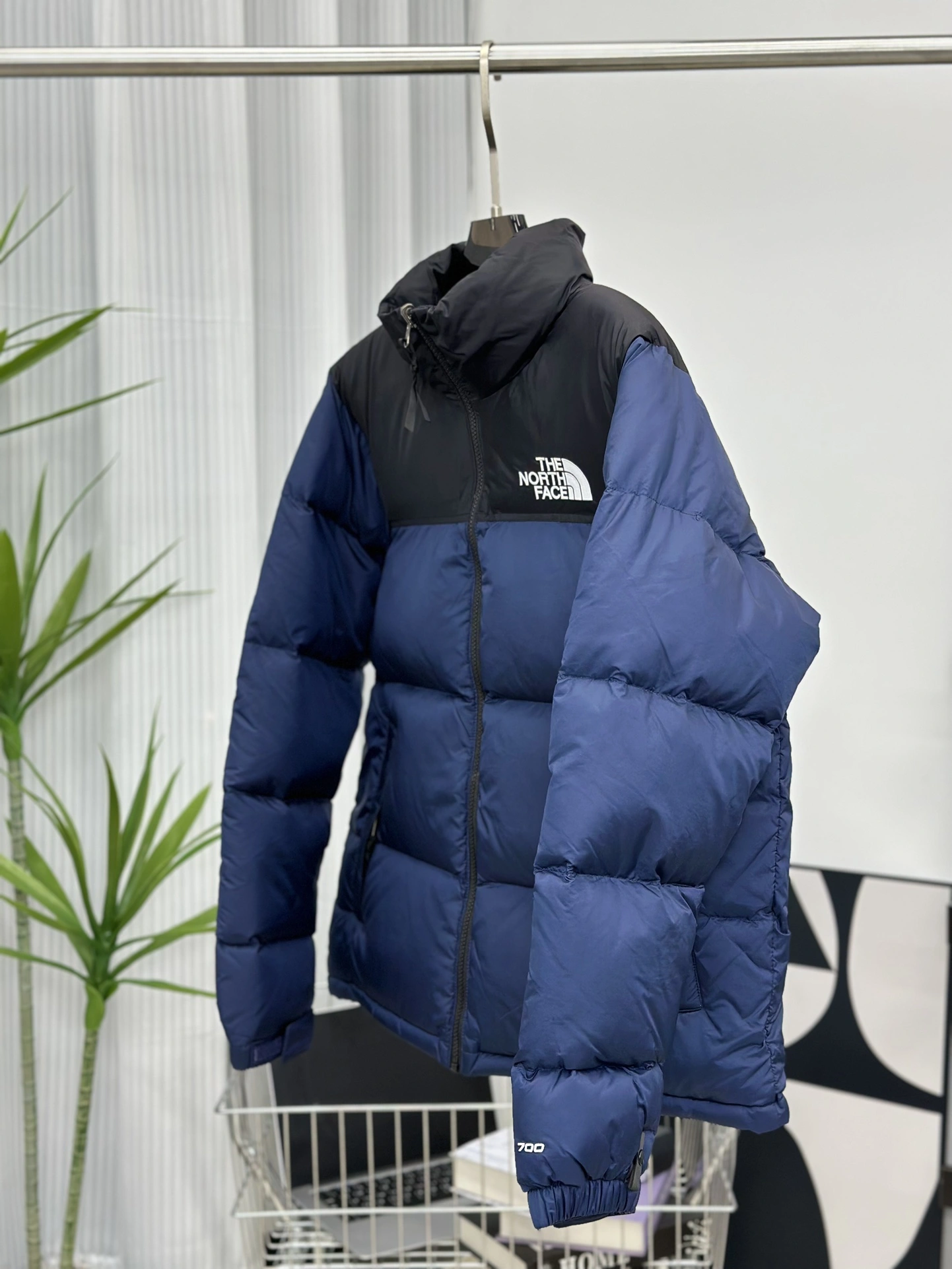 Bright The North Face Down Jackets 173139