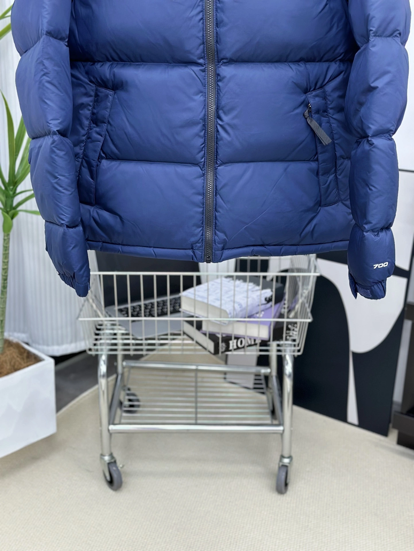Bright The North Face Down Jackets 173139