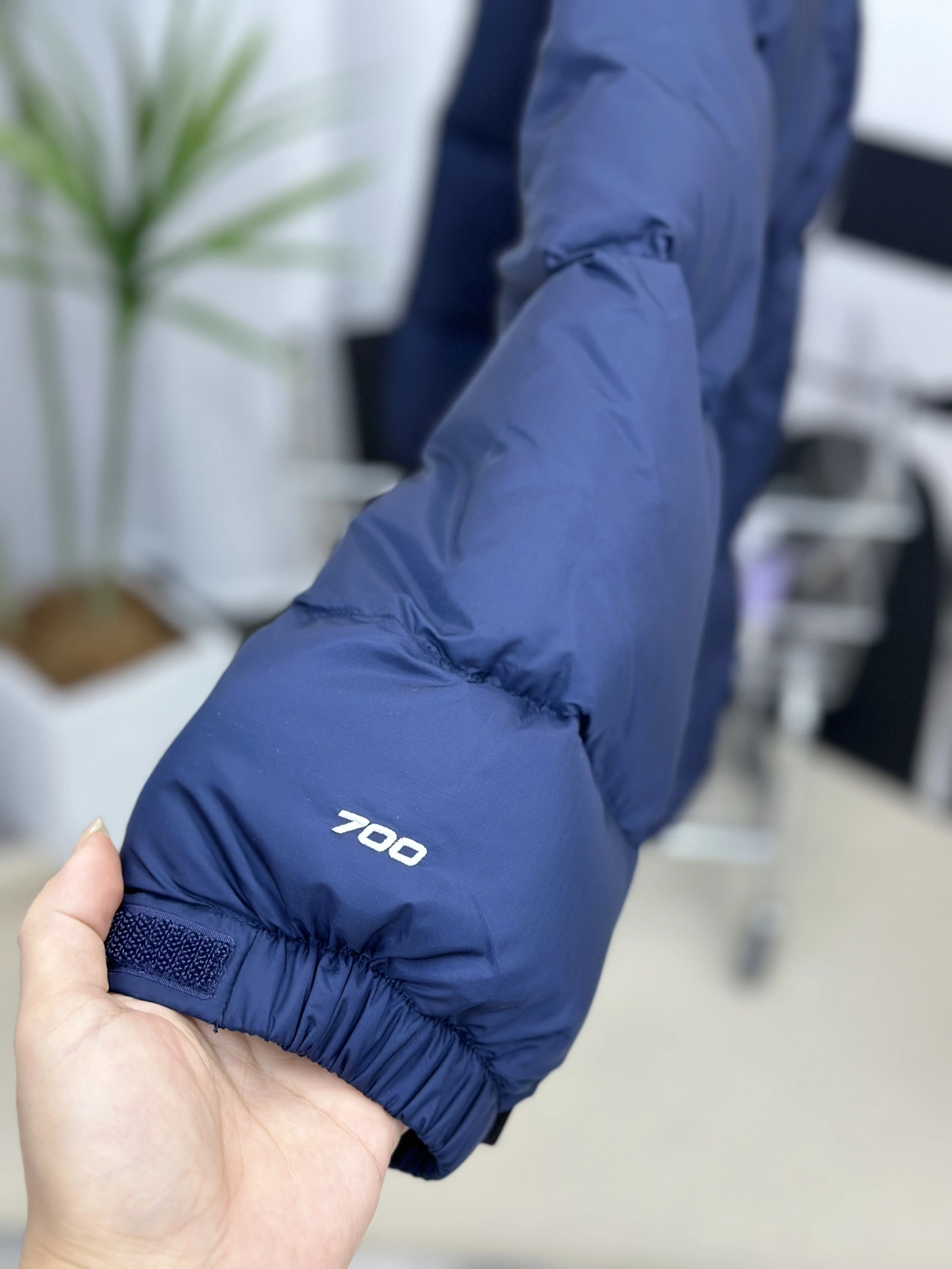 Bright The North Face Down Jackets 173139