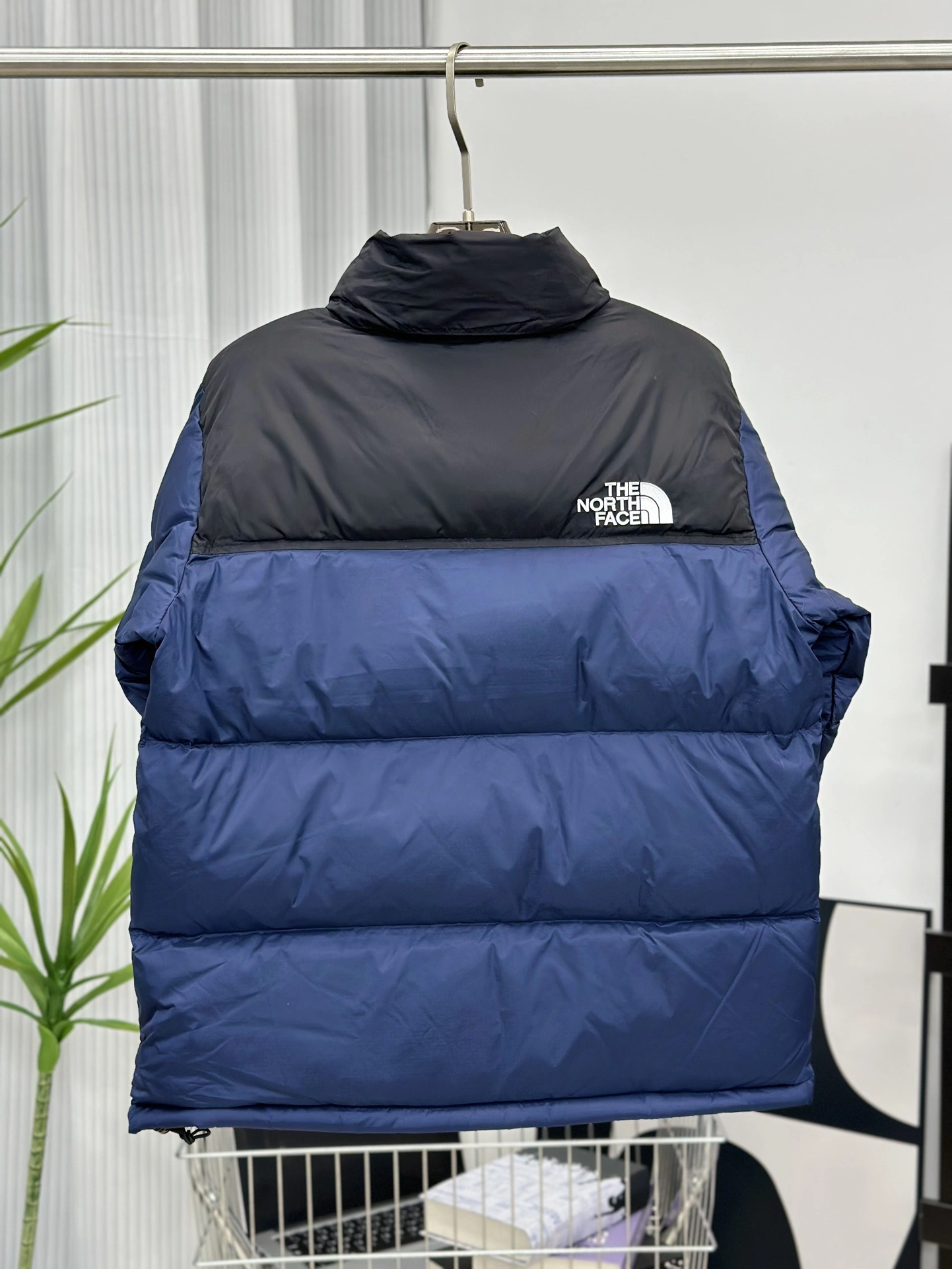 Bright The North Face Down Jackets 173139
