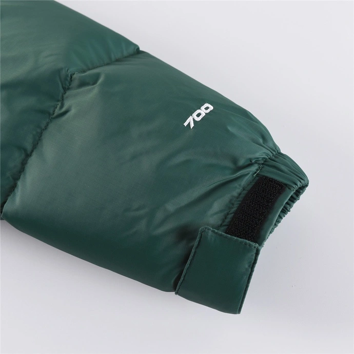 SportInspired The North Face Down Jackets 173080