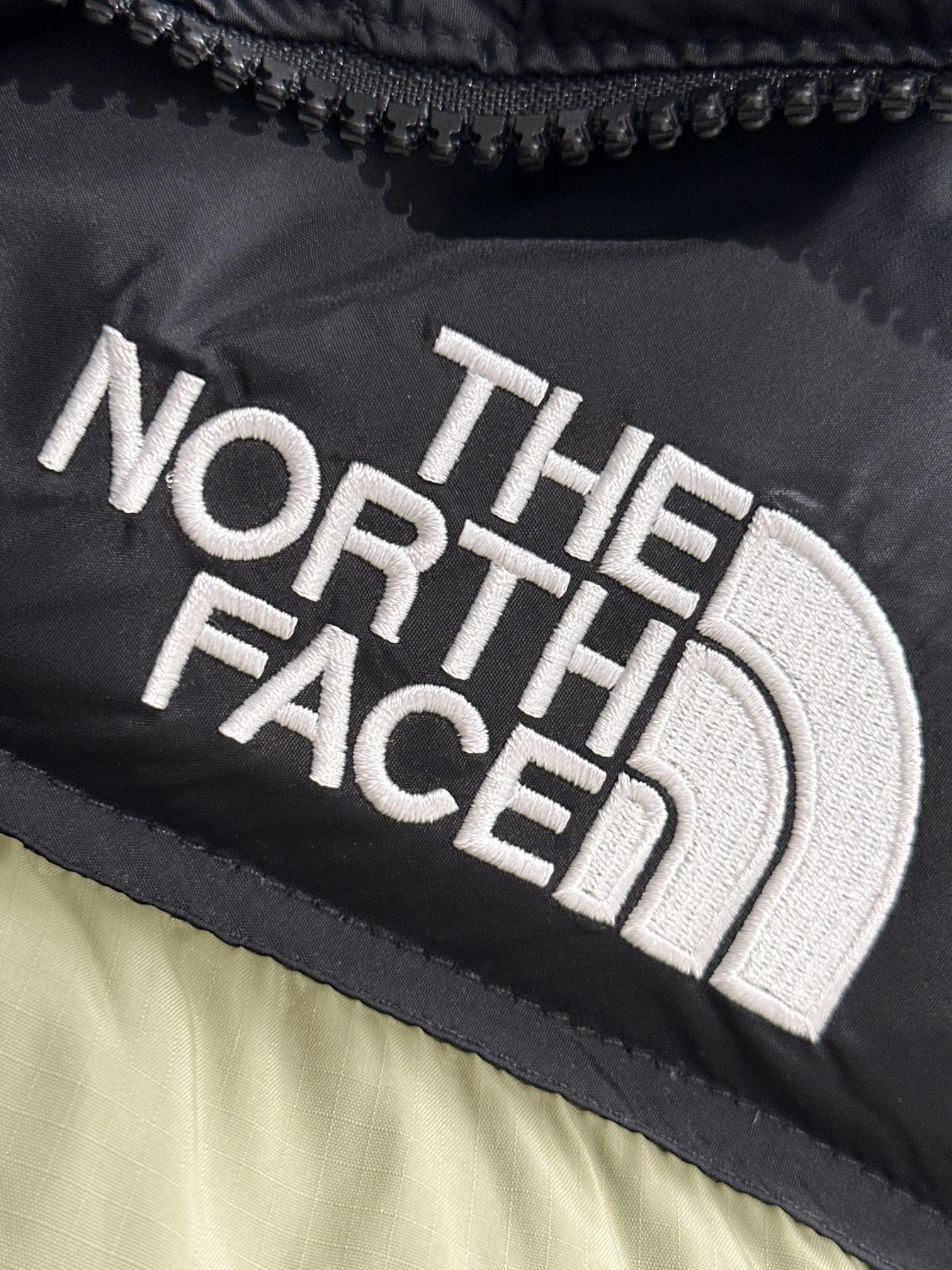 The North Face Down Jackets Resilient 173077