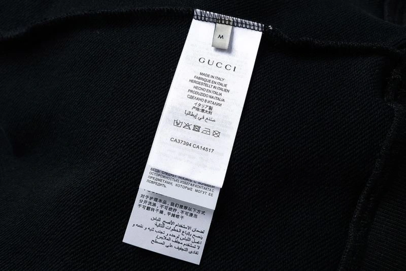 The North Face Hoodies FlexibleFit 173036
