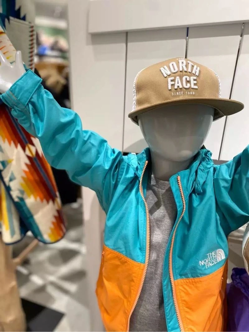 Original The North Face Kids 173018