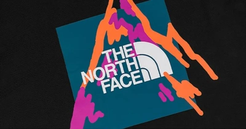 Seasonal The North Face T-Shirts 173029