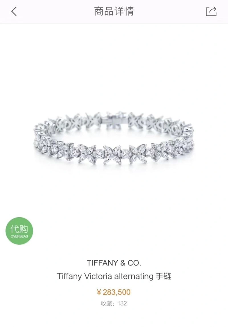 Tiffany Bracelets TravelReady 253902