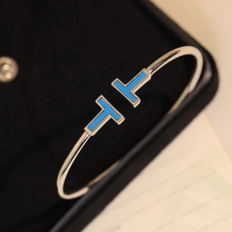 Sporty Tiffany Bracelets 253990