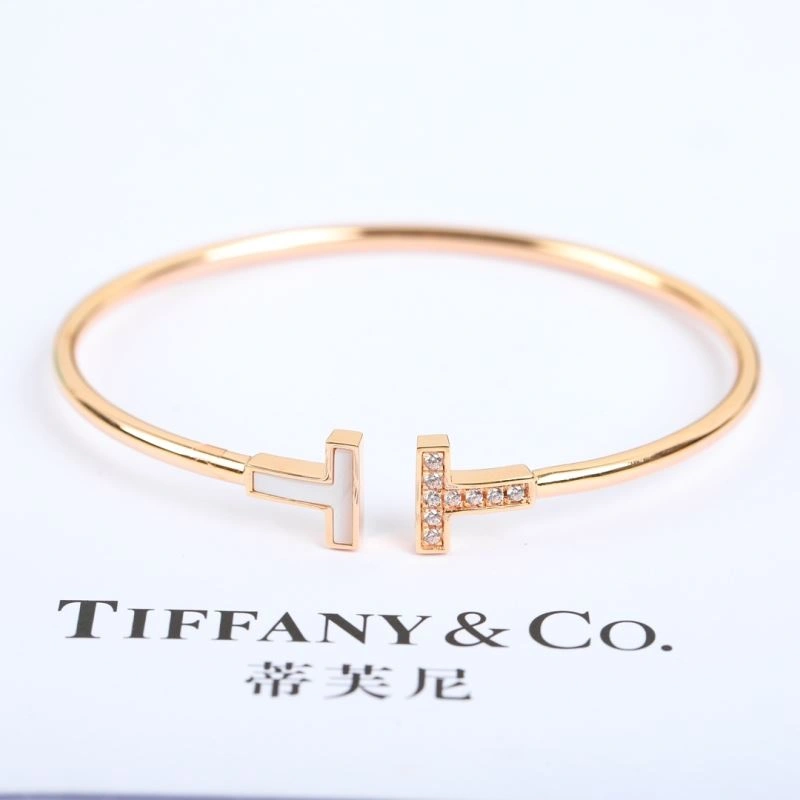 Tiffany Bracelets Resilient 252255