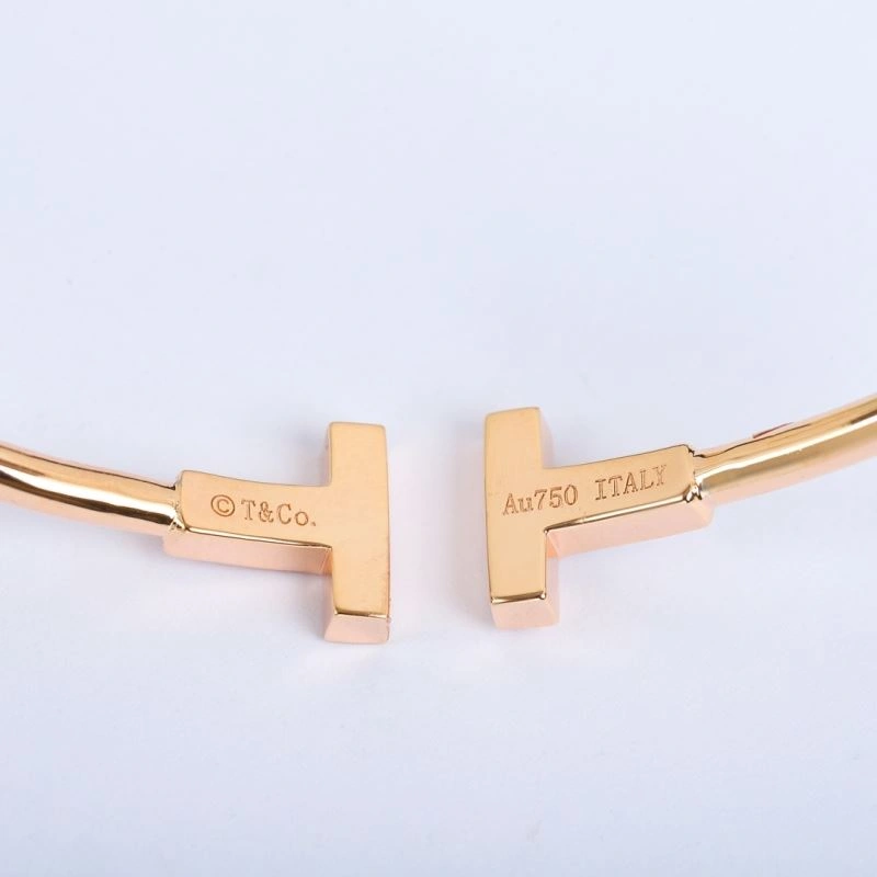Tiffany Bracelets Resilient 252255
