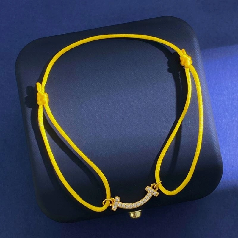 Tiffany Bracelets MultiPurpose 253992