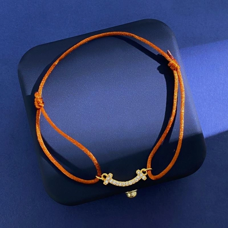 Tiffany Bracelets MultiPurpose 253992