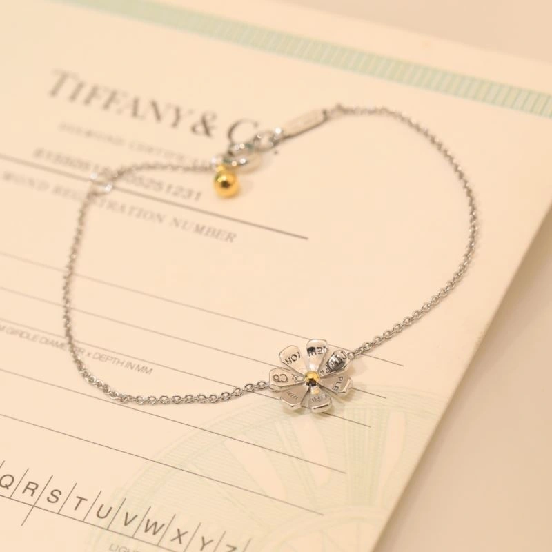 Tiffany Bracelets Modern 253976