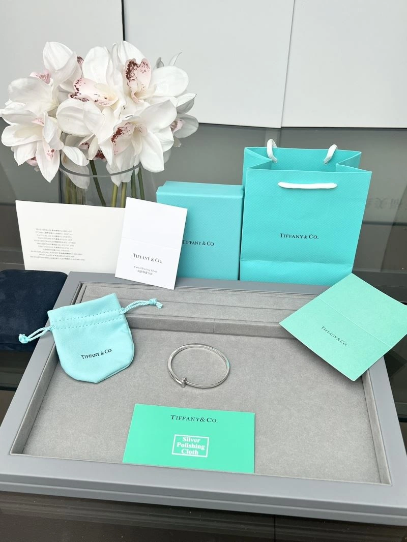 Tiffany Bracelets HighPerformance 253809