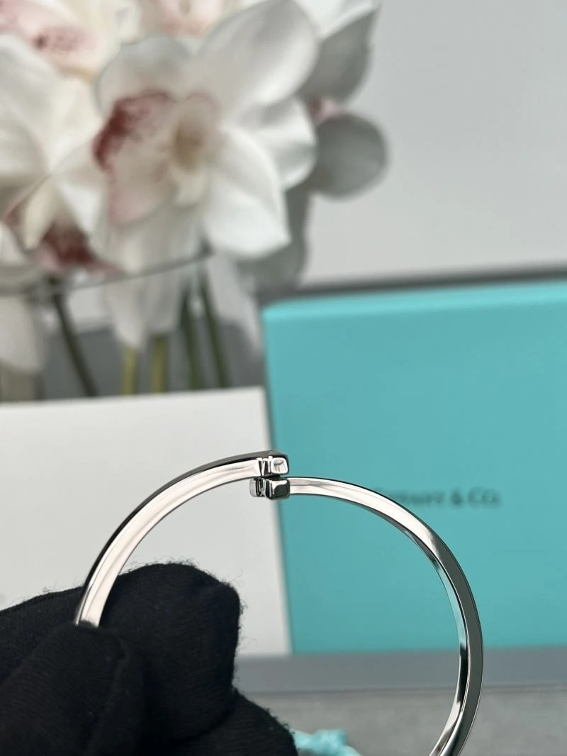 Tiffany Bracelets HighPerformance 253809