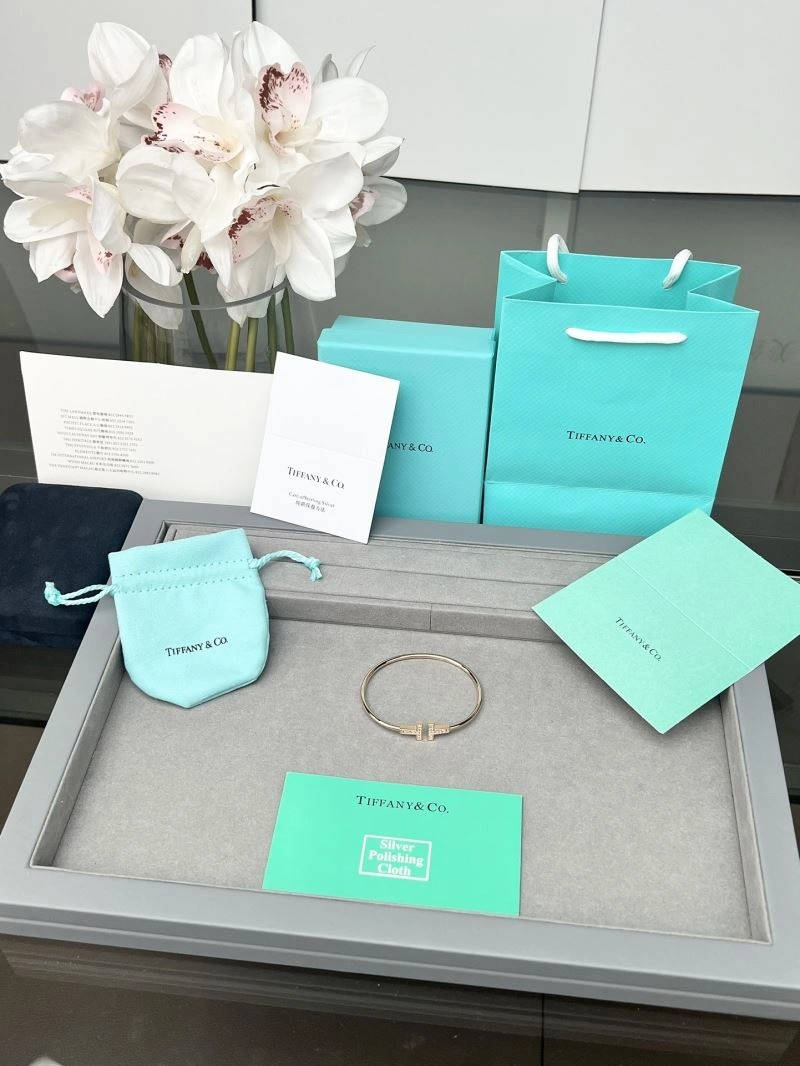 Tiffany Bracelets Classic 253804