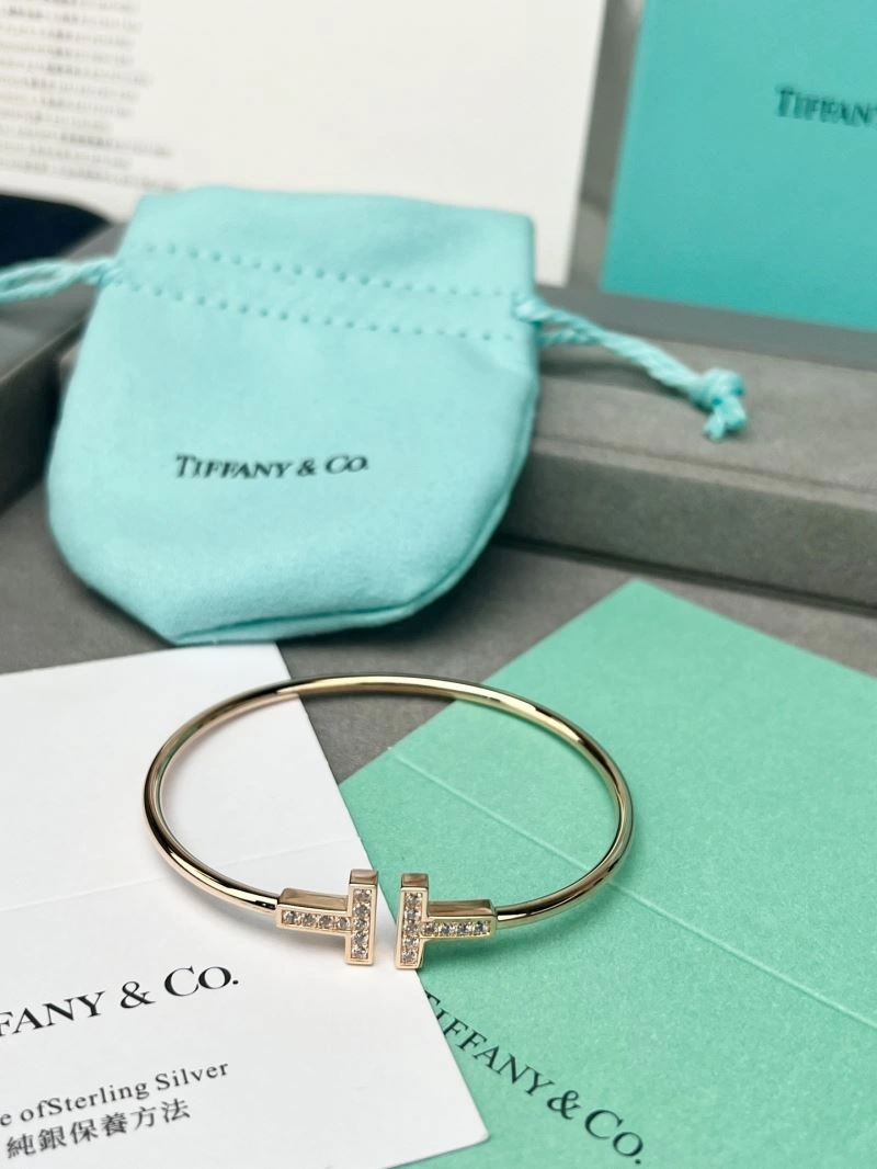 Tiffany Bracelets Classic 253804