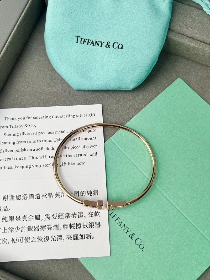 Tiffany Bracelets Classic 253804