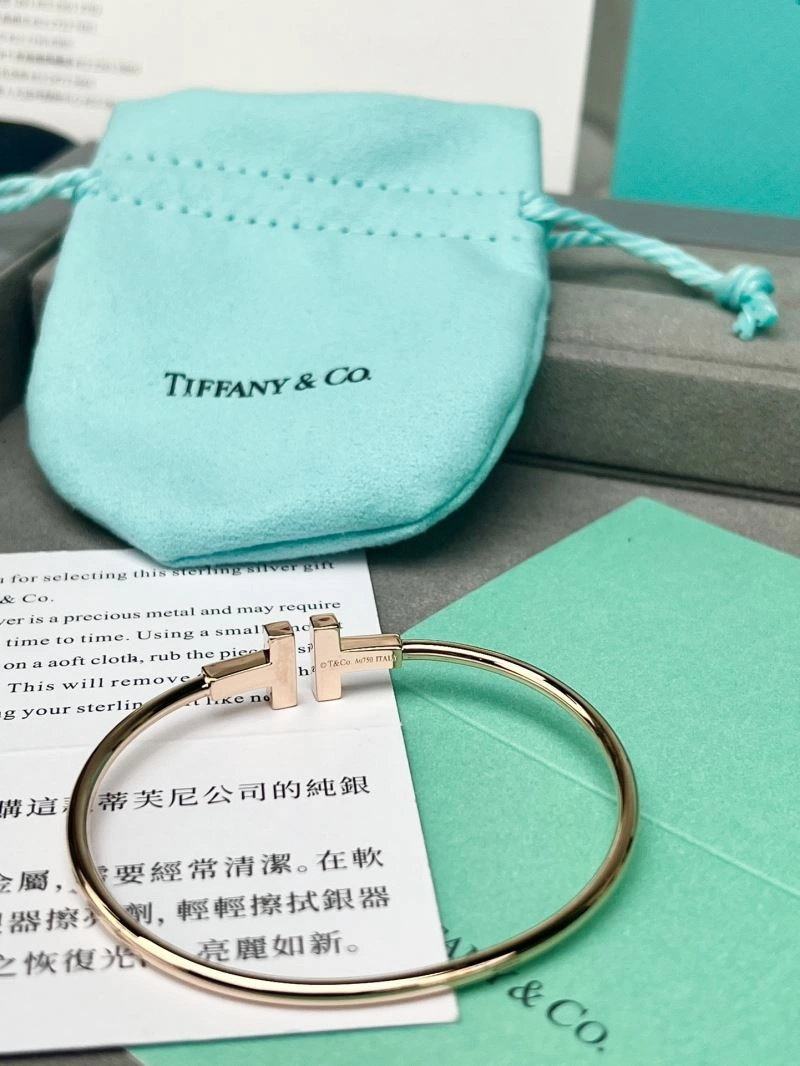 Tiffany Bracelets Classic 253804