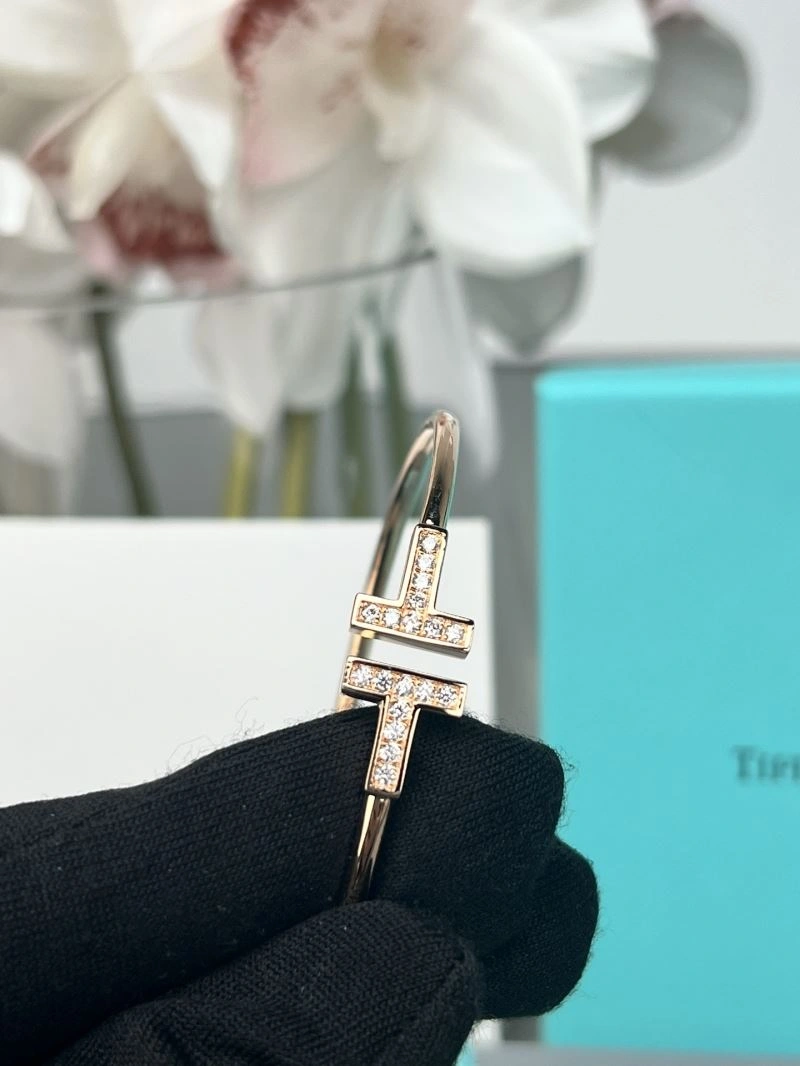 Tiffany Bracelets Classic 253804