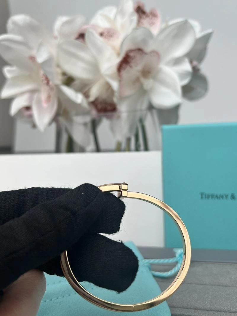 Tiffany Bracelets SunProtective 253811