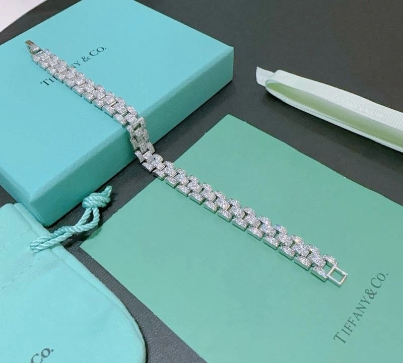Tiffany Bracelets Casual 253787