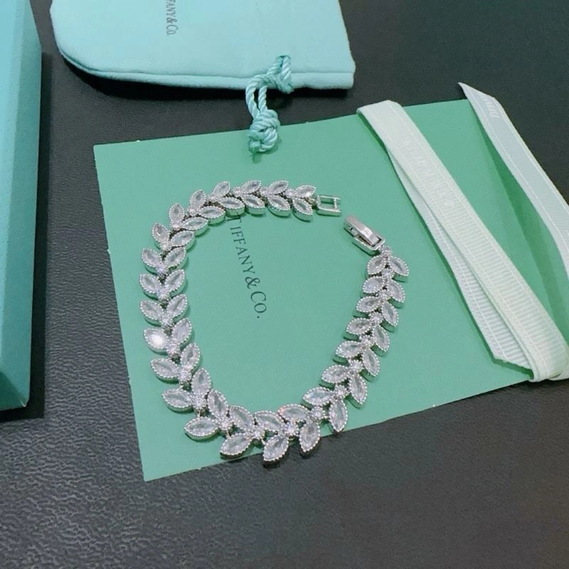 Tiffany Bracelets Casual 253541