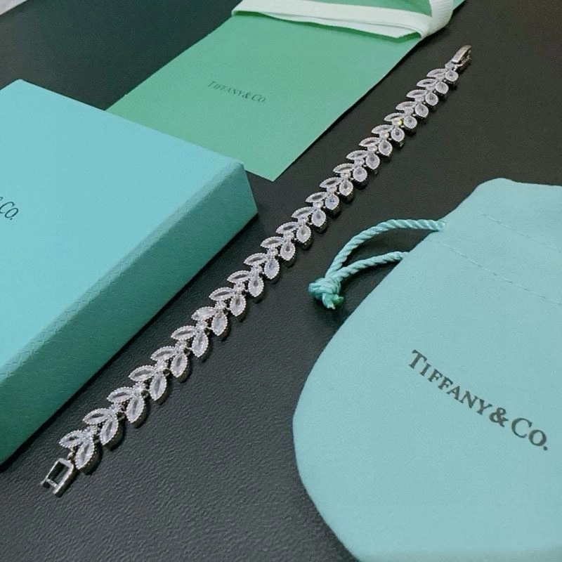 Tiffany Bracelets Casual 253541