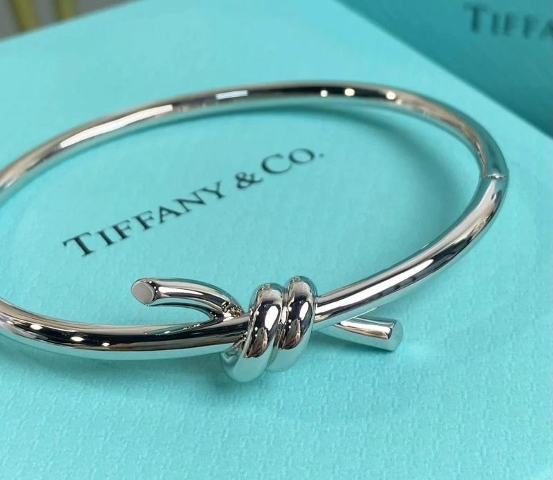 Tiffany Bracelets MultiPurpose 253261