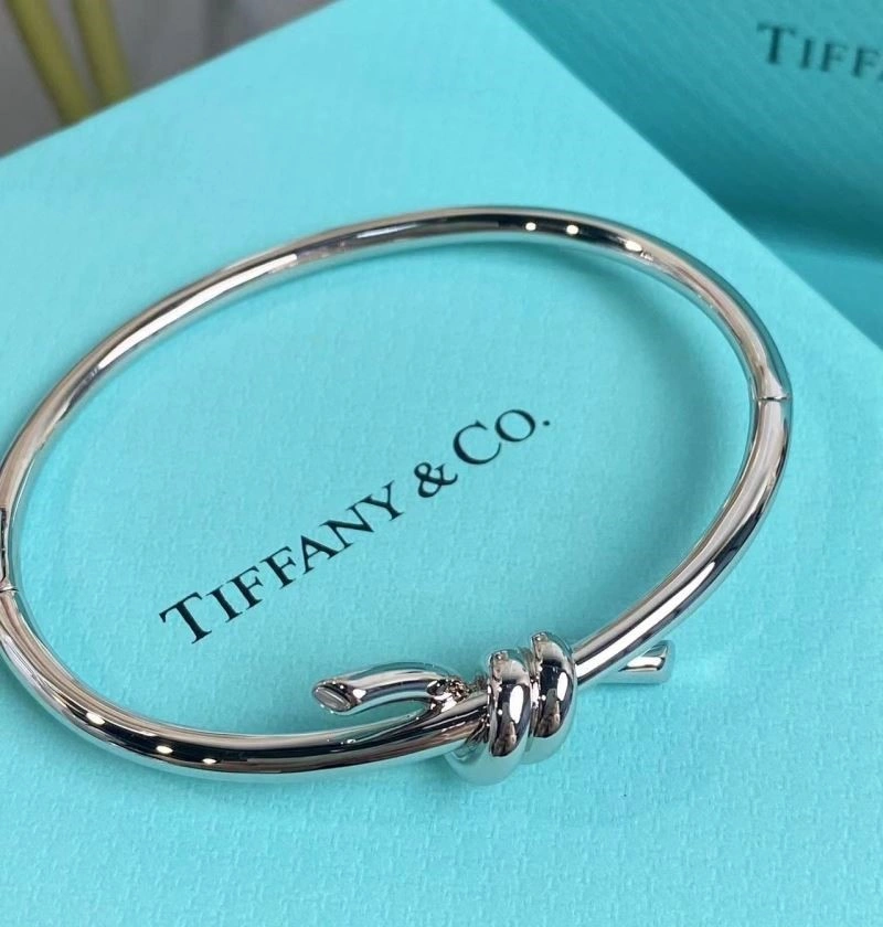 Tiffany Bracelets MultiPurpose 253261