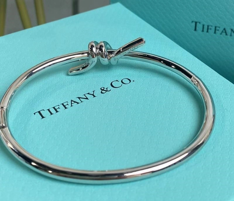 Tiffany Bracelets MultiPurpose 253261